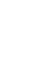 Wholesale NEW